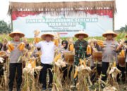 Provinsi Banten Panen Raya Jagung
