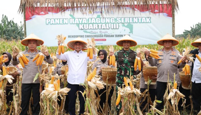 Provinsi Banten Panen Raya Jagung